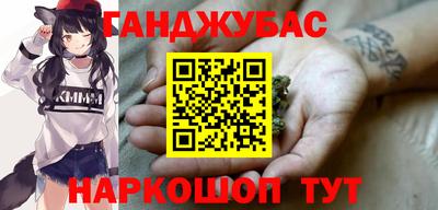 крисы Славгород