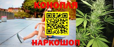 крисы Славгород
