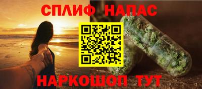 крисы Славгород