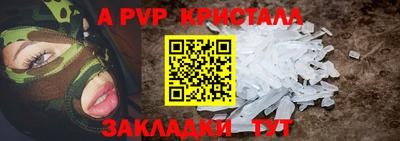 крисы Славгород