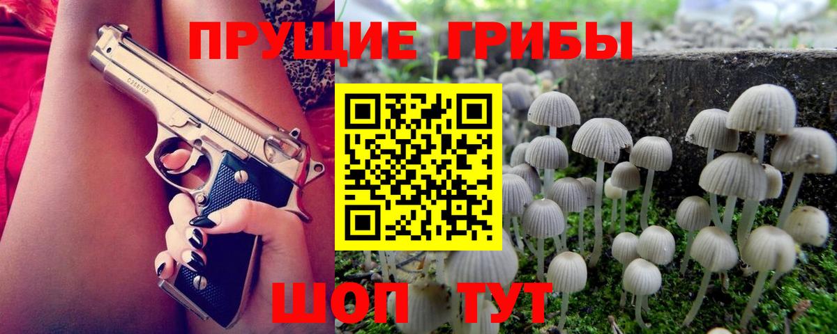 Галлюциногенные грибы прущие грибы Новосибирск