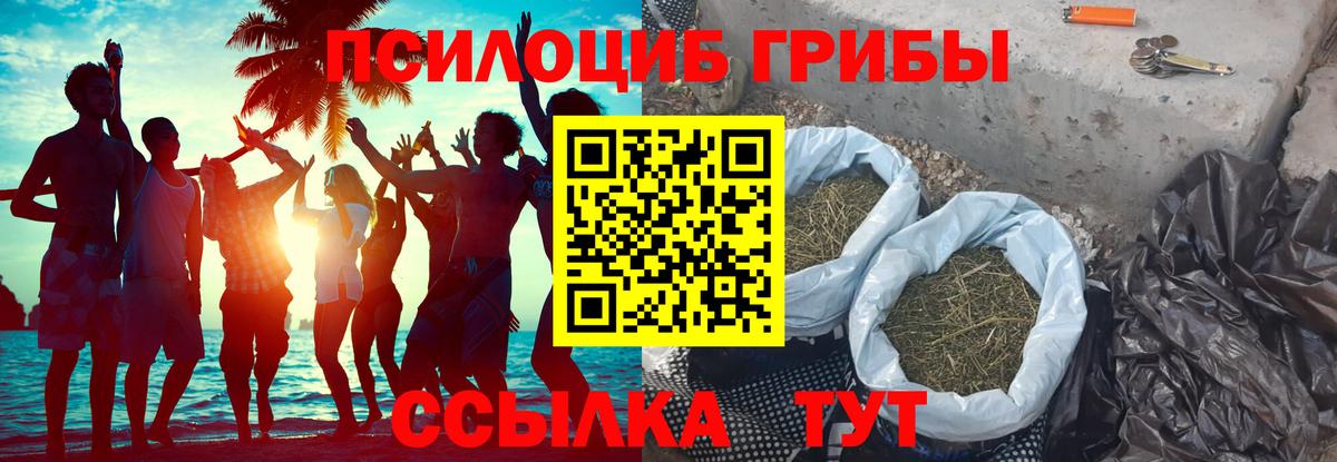 Новосибирск  Галлюциногенные грибы мухоморы  Вход с VPN 